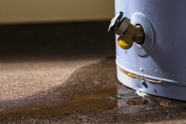 Best Water damage restoration near me  in River Road, NC