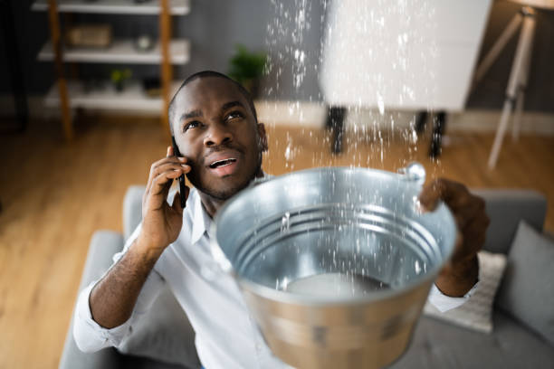 Best Flooded house restoration  in River Road, NC