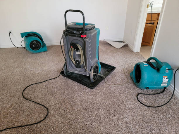 Best Fire Damage Restoration  in River Road, NC