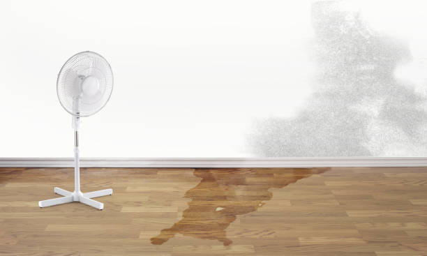 Best Local water damage restoration  in River Road, NC