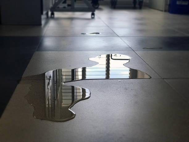 Best Commercial water damage restoration  in River Road, NC
