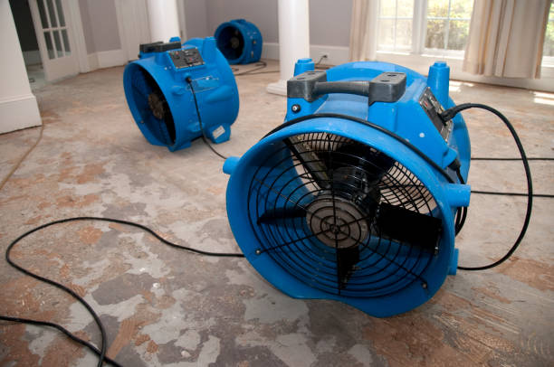  River Road, NC Water damage restoration Pros
