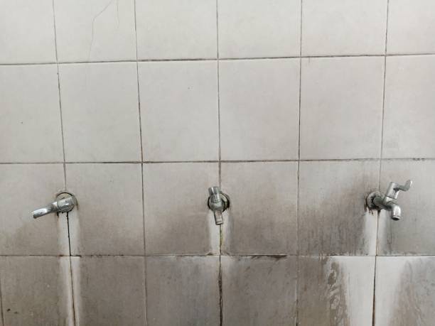 Best Fire Damage Restoration  in River Road, NC