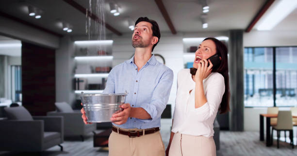 Best Professional water damage repair  in River Road, NC